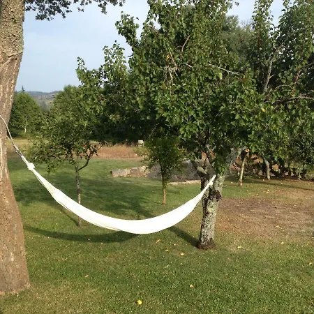 Piscine Portugal * Coucieiro